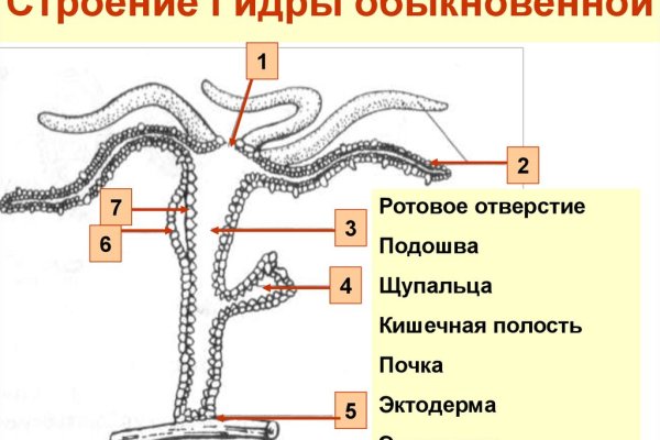 Vk8 at кракен